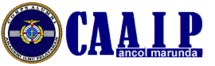 63.caaip.net